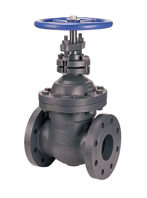 (Not Approved) BB Gate Valves