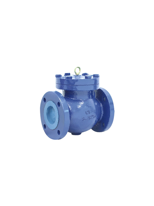 (Not Approved) Swing Check Valves
