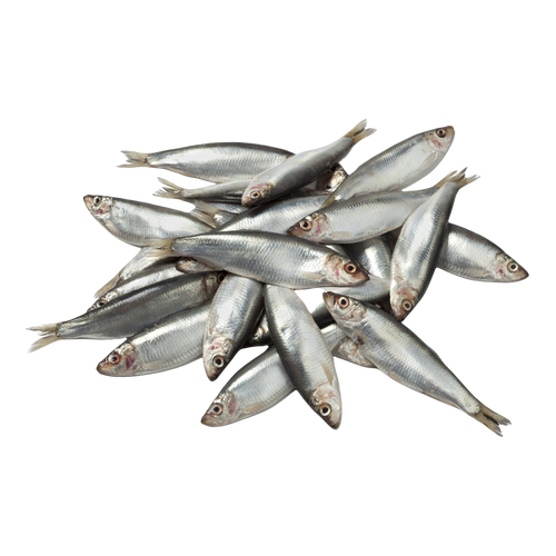 These little oily fish are a sure firm favourite of dogs and cats. This high quality protein is an excellent source of Omega 3 fatty acids and provide a range of nutrients. They are a good source of Vitamin B12 and are rich in Selenium, they also provide moderate Vitamin D.