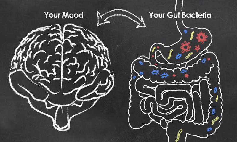 Why Gut Health Is the Key to Overall Wellness Why Gut Health Is the Key to Overall Wellness