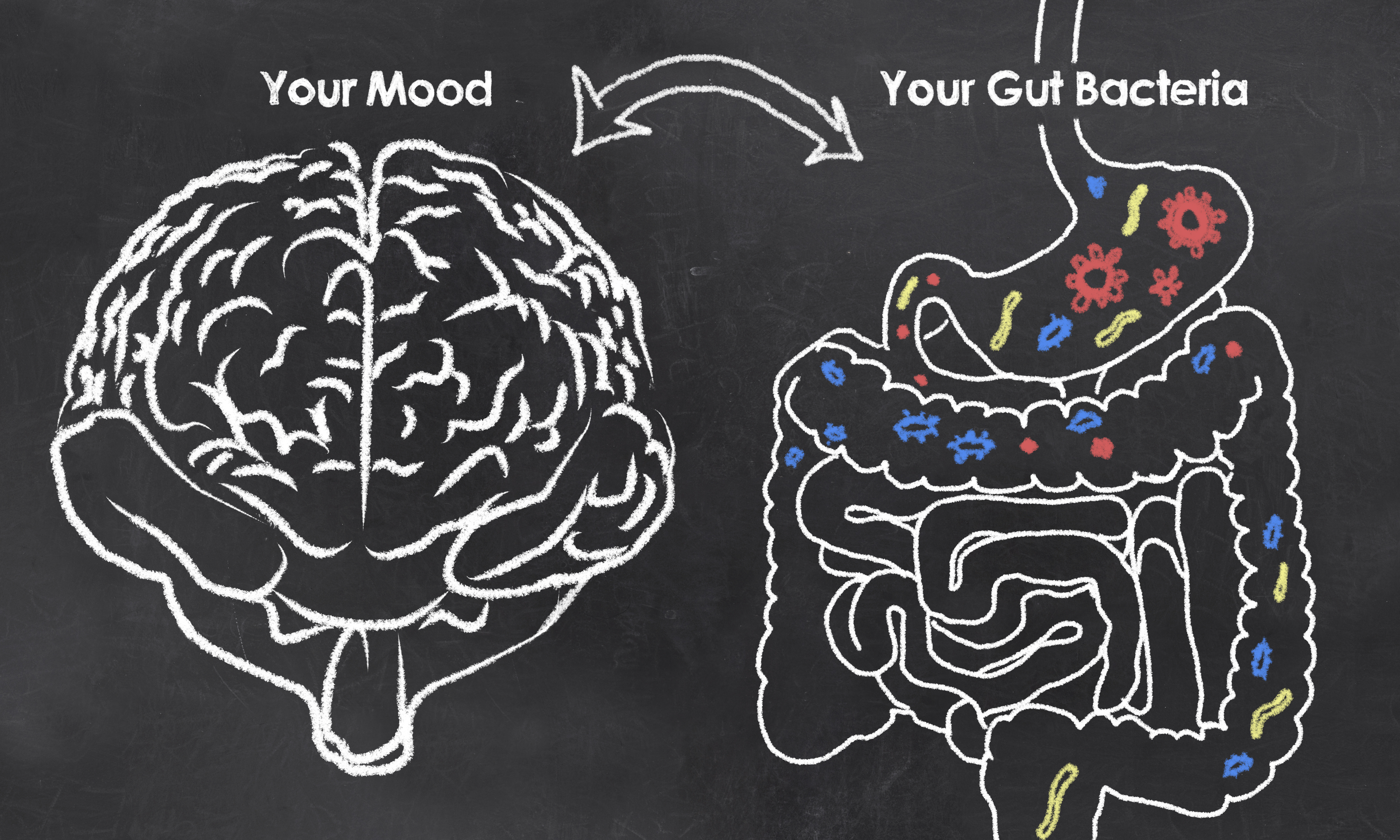 Why Gut Health Is the Key to Overall Wellness