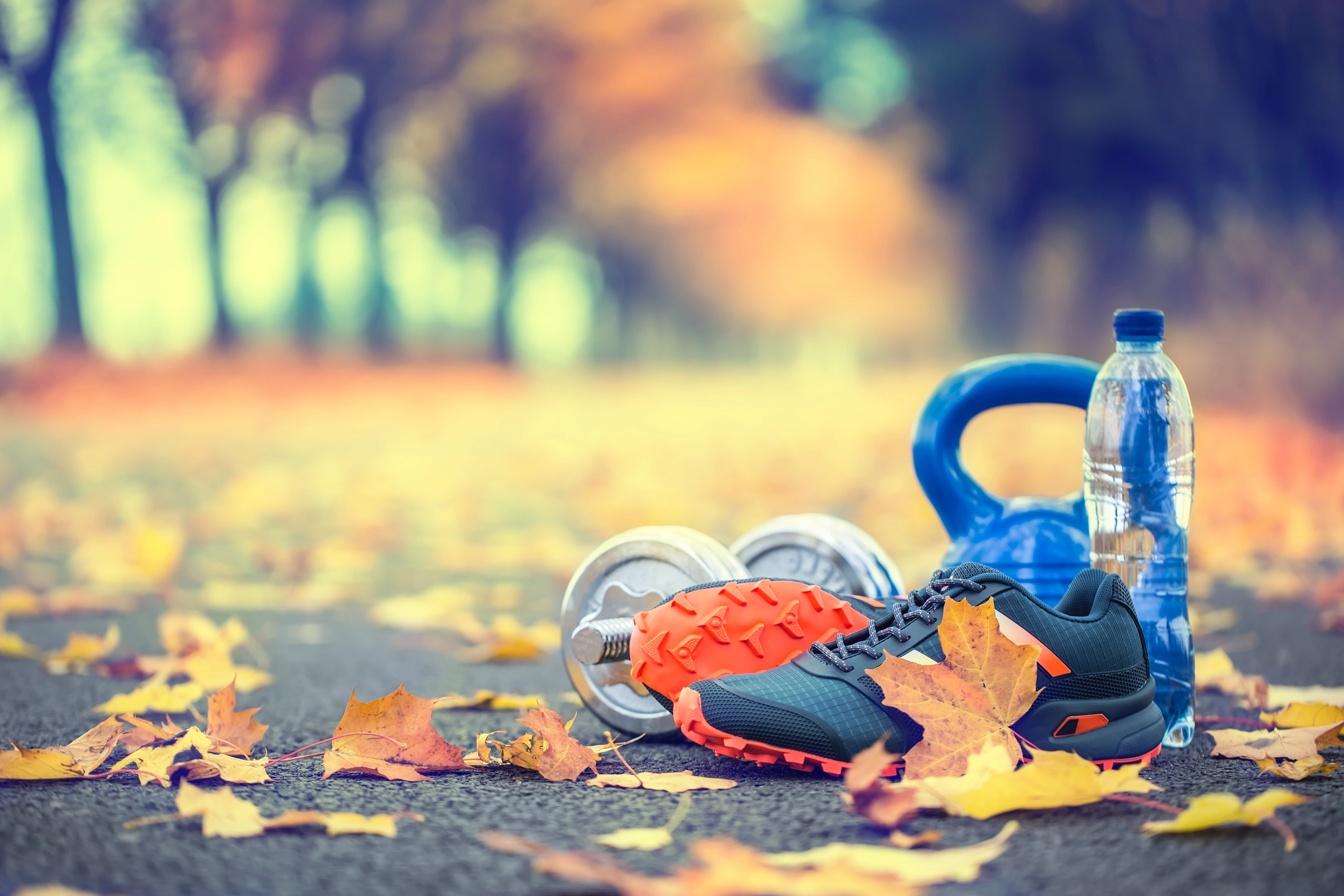 A Fall Wellness Reset: Simple Habits to Carry You Through the Season