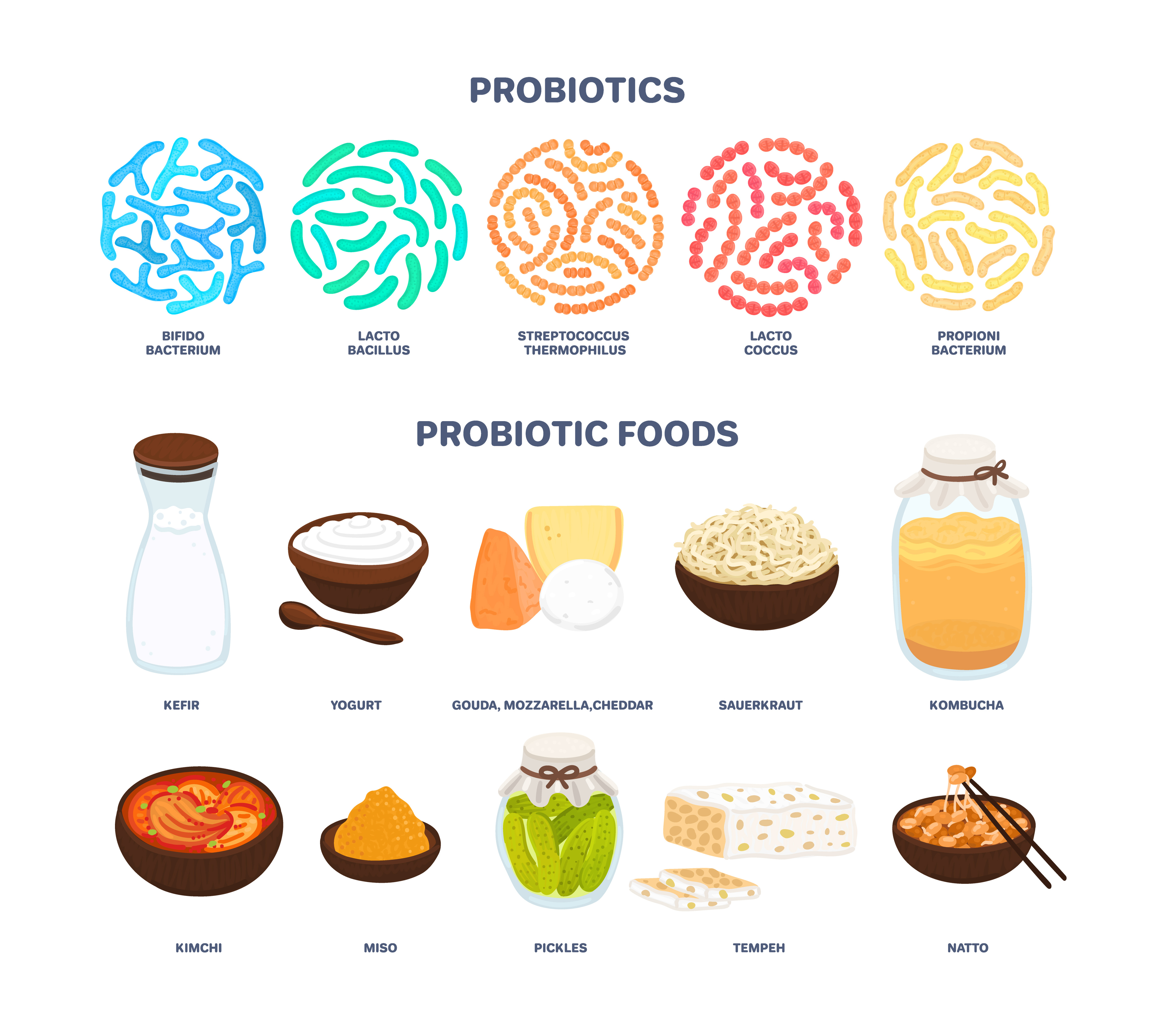 How Probiotics Are Revolutionizing Digestive Health