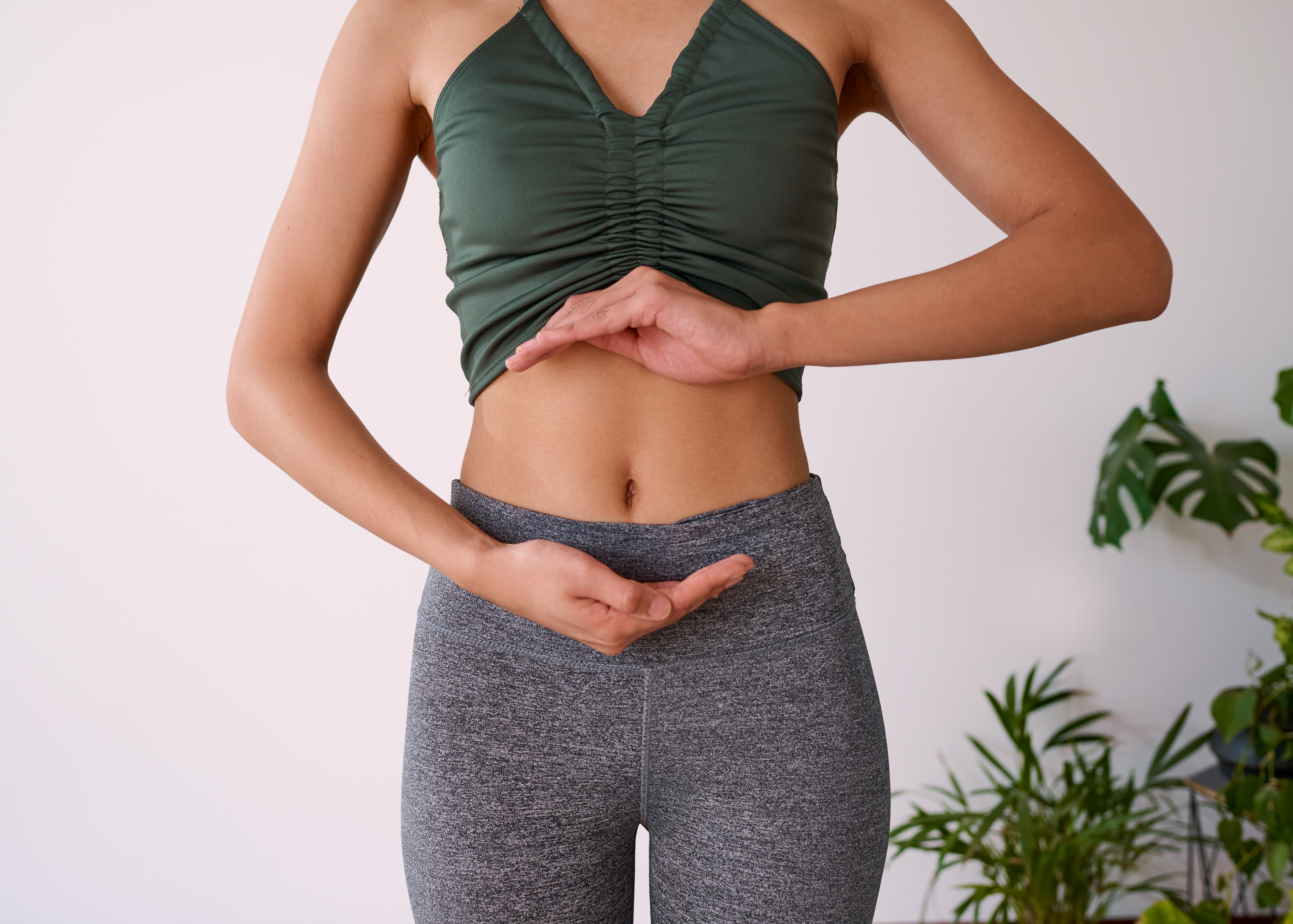 The Link Between Gut Health and Mental Health