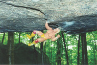 Lichen Grow Back Fast Here | Excerpts from Ice Pond Bouldering Guide