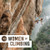 Women of Climbing Calendar 2020