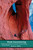 Moab Canyoneering: Exploring Technical Canyons Around Moab Moab Canyoneering: Exploring Technical Canyons Around Moab