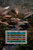 Mount Evans Bouldering - Dinged and Damaged