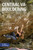Central Virginia Bouldering cover