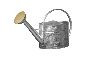 Galvanized Watering Can