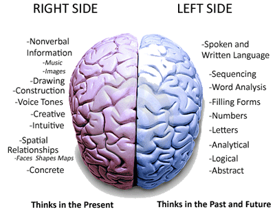 brain.jpg