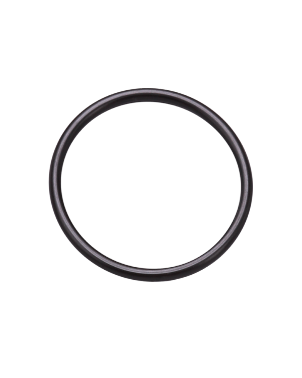 SGE Trajan 032532 Replacement ORing for 1LT Jumbo Gas Sampling Syringe