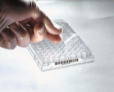 K'@ページ Thermo Nunc 236366 Clear Sterile Pre-Cut Polyester Sealing Tape