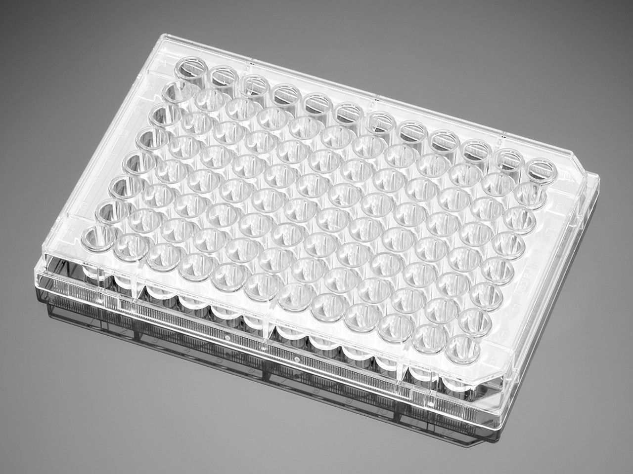 Corning Falcon 353072 96-Well Sterile Flat Bottom TC-Treated