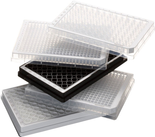 Eppendorf® Polypropylene Microplates 384 Well