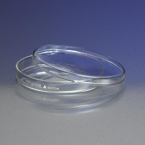Corning 3160-60BO PYREX® 60x15mm Petri Culture Dish Bottoms Only