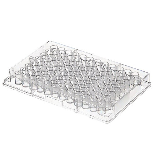Thermo Nunc 442404 96-Well 350μL Flat Bottom Immuno Plates with MaxiSorp Hydrophilic Surface---B3665-2