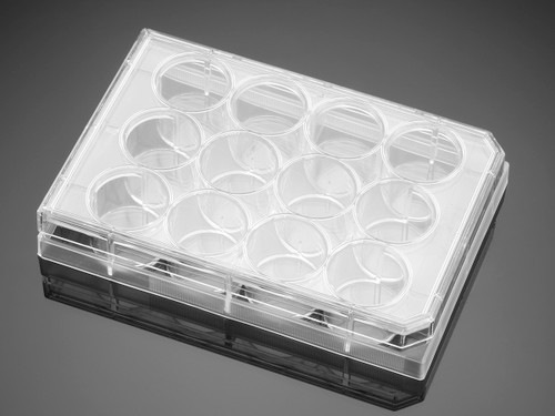 Corning Falcon 353226 24-Well Sterile Flat Bottom TC-Treated