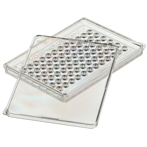 Thermo Nunc 438733 Clear Non-Sterile 72-Well x 10μL MicroWell Cell Culture MiniTrays with Lids, Flat Bottom - B3673-1