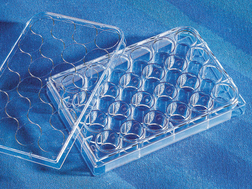 Corning 3524 Costar 24-well Clear TC-treated Multiple Well Plates, Individually Wrapped, Sterile - CGWP-3524