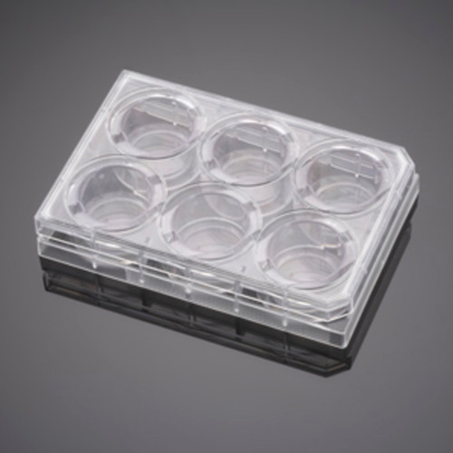 Kページ　fa8 Corning® 354578 BioCoat® Control Inserts with 8.0 µm PET