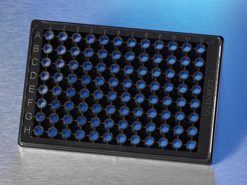 Corning® 4586 BioCoat™ Poly-D-Lysine 96-well Half Area Black/Clear Flat Bottom High Content Imaging Glass Bottom Microplate - CGWP-4586