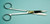 Doyen Scissors, Stainless Steel