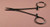 Halstead Hemostatic Forceps