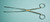 Specimen Forceps, Stainless Steel
