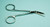 Iris Scissors with Angular Tip. Stainless Steel