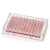Thermo Nunc 262162 Sterile 96-Well U-Shaped Bottom Microwell Plates, No Lids, Polystyrene - B3670-5