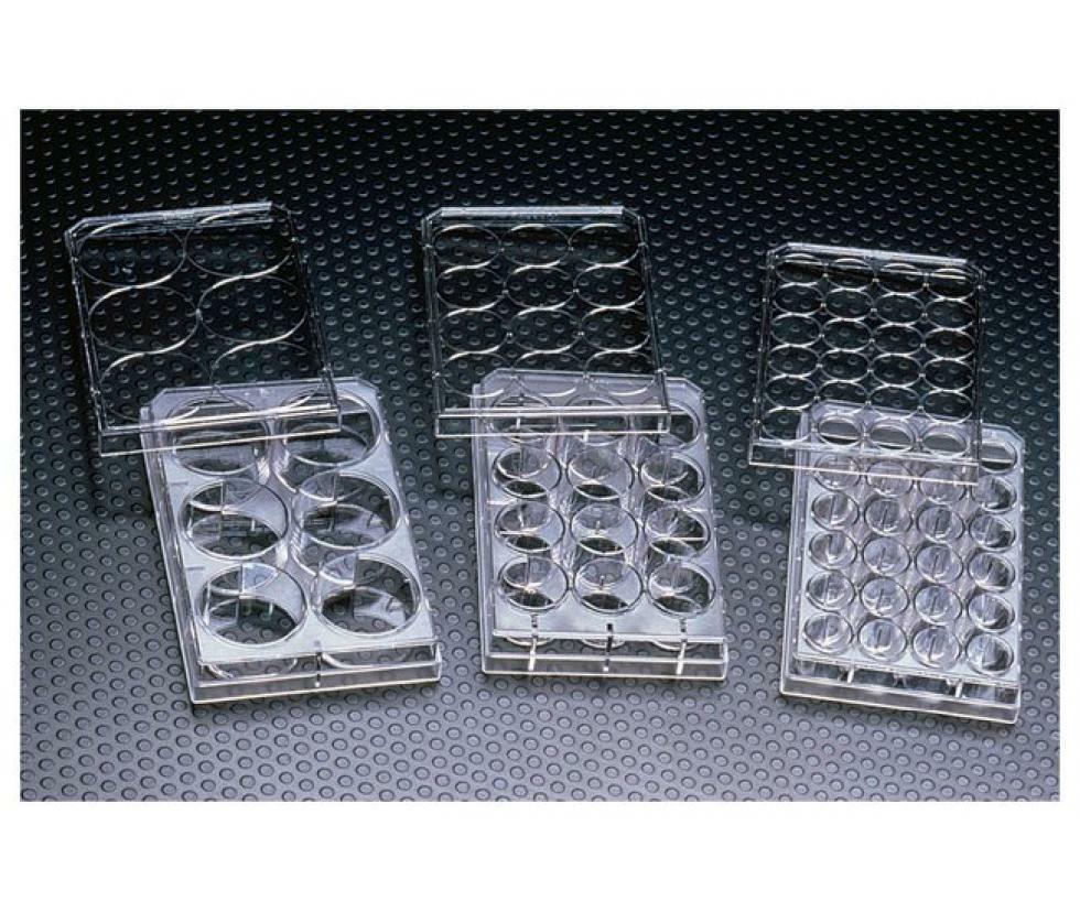 Cell Culture Plates