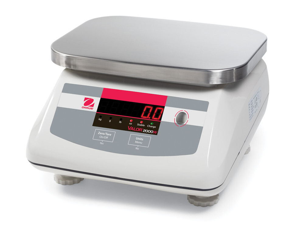 Bench & Floor Scales