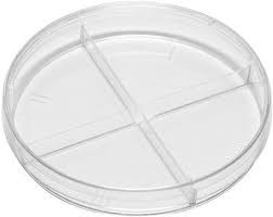 Kord-Valmark 2913 Stackable Sterile PS Quad-Plate Divided Petri