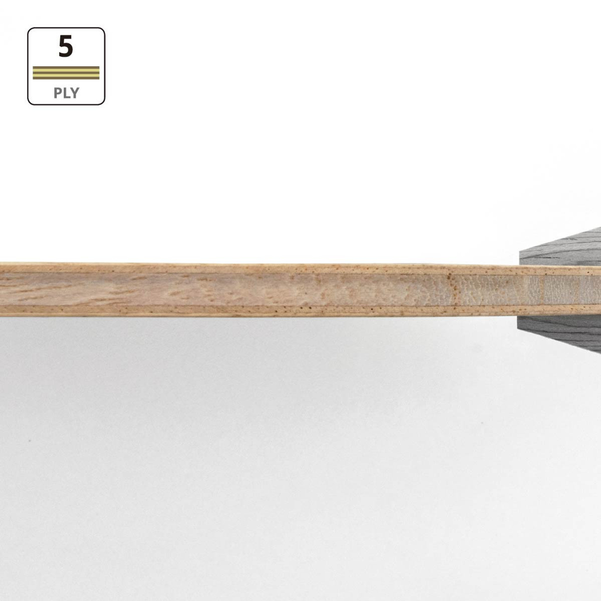 卓球 BUTTERFLY - Butterfly MAZE Maze Magic | Butterfly Table Tennis Blade