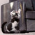 Anti-Scratch Protective Tape Cat Corner Sofa and Furniture - 2 Units Anti-Scratch Protective Tape Cat Corner Sofa and Furniture - 2 Units