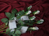 White rosebuds will arrive with the Tiny Flower message attached to each rose.