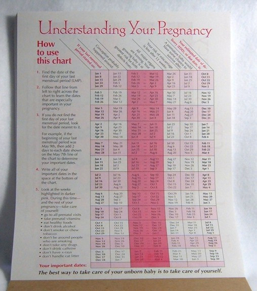 Pregnancy Timeline