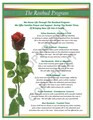 Rosebud Display Poster in Easel - ENGLISH