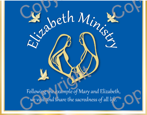 Elizabeth Ministry - Greeting Cards (25/pk)