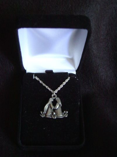 Variety of Box containing necklace may vary