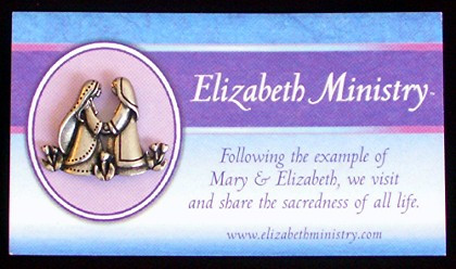 Elizabeth Ministry - Pewter Pin