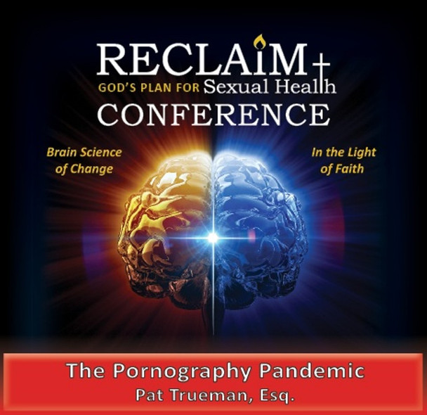 CD: The Pornography Pandemic