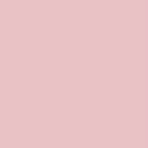 Siser EasyWeed Roll  - Light Pink - 12" x 59"
