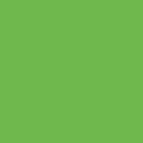 Puff - Apple Green - 12" x 20" - EconoTransfer