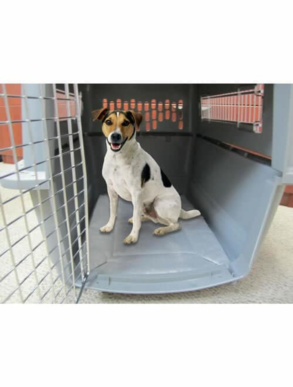 Keep dog hot sale warm in crate