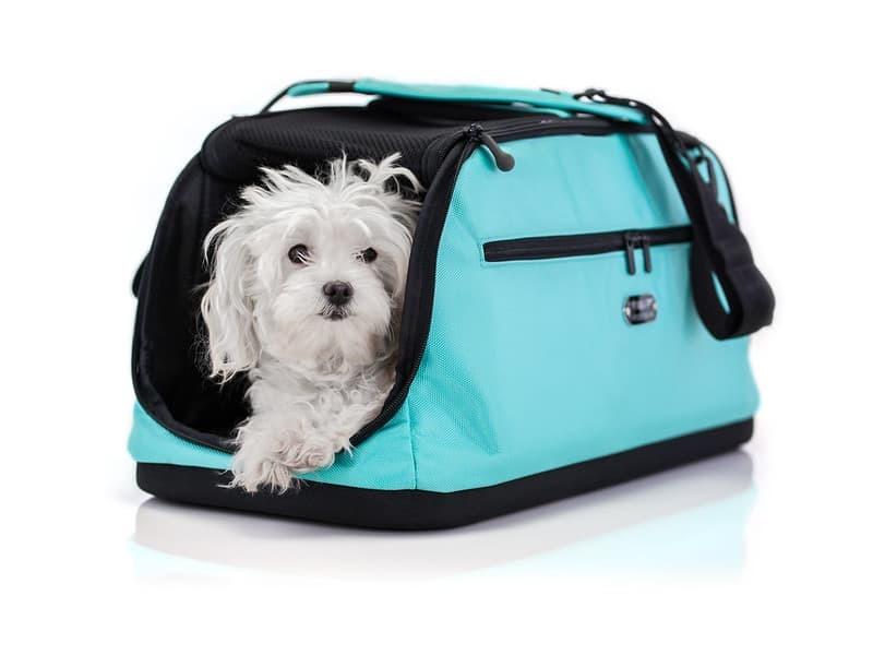 Sleepypod deals pet carrier