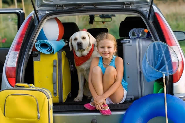 Quick Tips for Auto Pet Travel