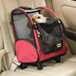 Wheeled Airline Approved Pet Carrier  Pet Carrier with Wheels – Pet Life