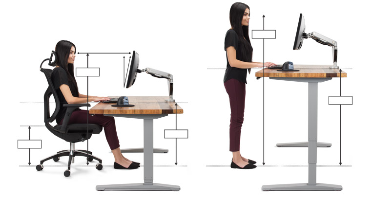 Ergonomic Office: Calculate Chair & (Standing) Desk Height